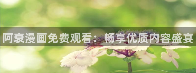 哔咔漫画怎么加速