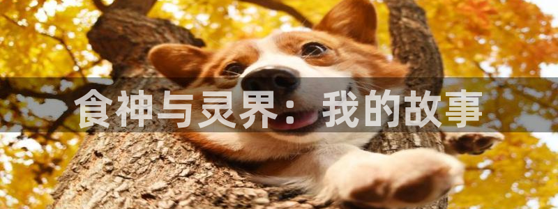 哔咔哔咔漫画app下载免费